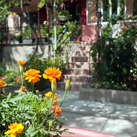 New Worker - Wo Za Diman Guest house