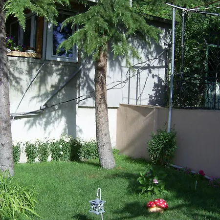 New Worker - Wo Za Diman Varna