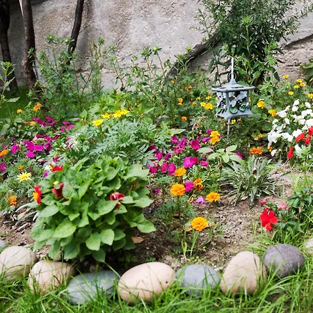 Pensionat New Worker - Wo Za Diman