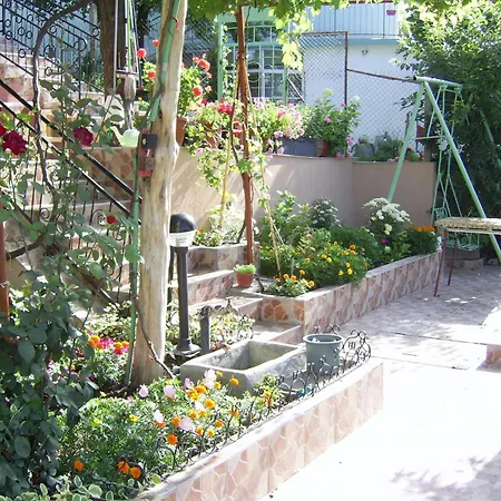 New Worker - Wo Za Diman 2*