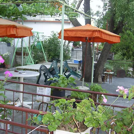 New Worker - Wo Za Diman Varna