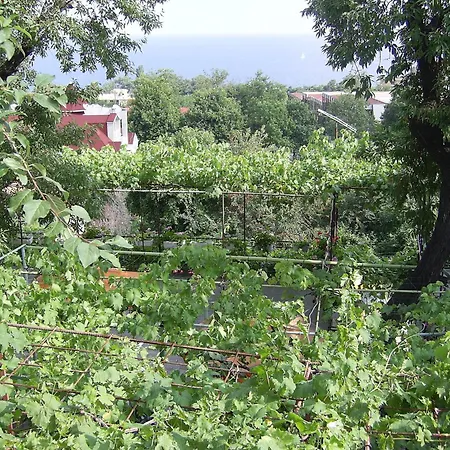 New Worker - Wo Za Diman Pensionat