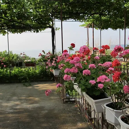 Pensionat New Worker - Wo Za Diman Varna