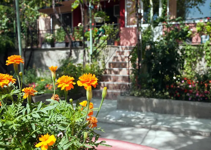 New Worker - Wo Za Diman Pensjonat