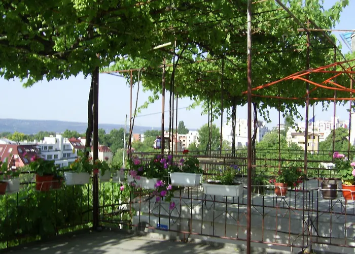 New Worker - Wo Za Diman 2* Warna