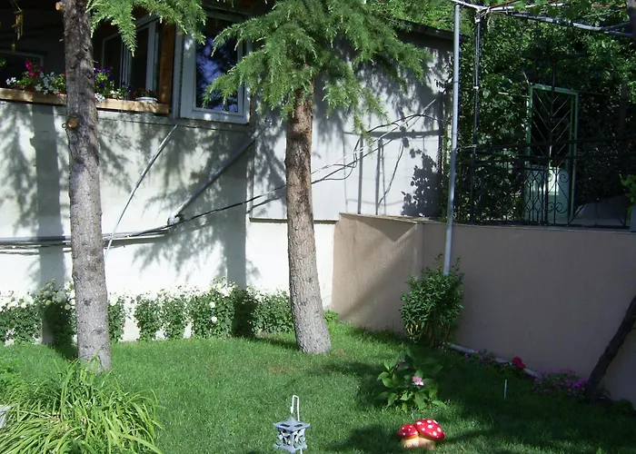 New Worker - Wo Za Diman Warna