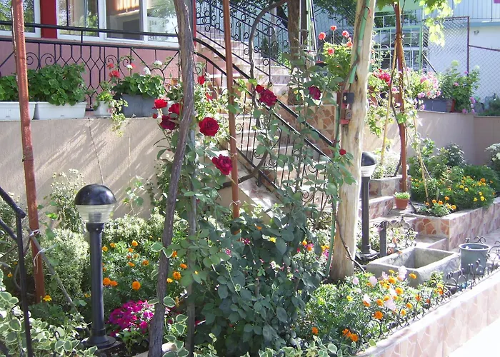 New Worker - Wo Za Diman 2* Warna